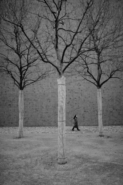 Miroslav Maric, Josto-Foto, Contemplative